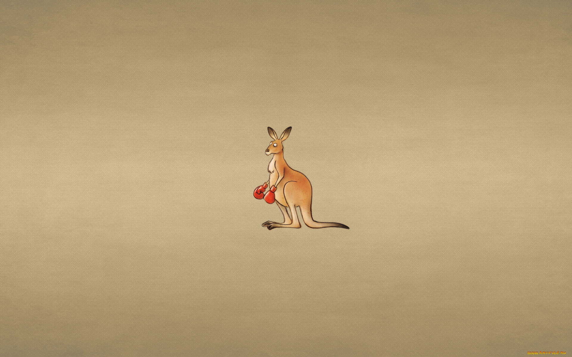 , , , , , , , kangaroo